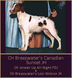 CH Breezwater's Canadian Sunset JH
